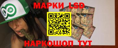 стаф Краснодар