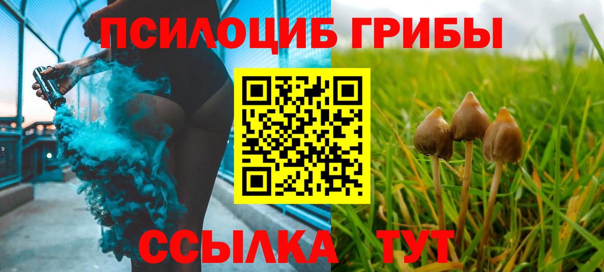 где продают наркотики  Вход с VPN  Клин  Галлюциногенные грибы прущие грибы  Псилоцибиновые грибы Psilocybe 